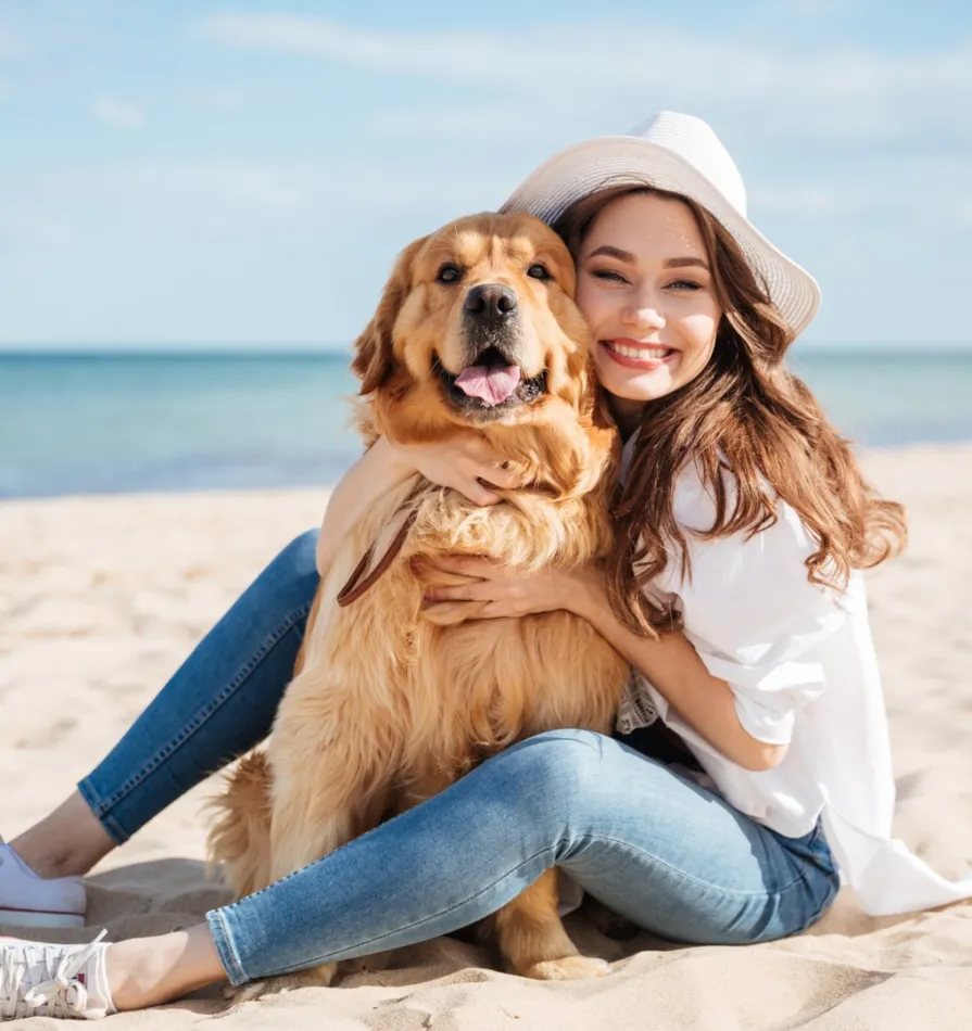 conseils-traitement-chiens-chat-été